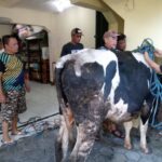 IMG20250606075907_copy_1040x780